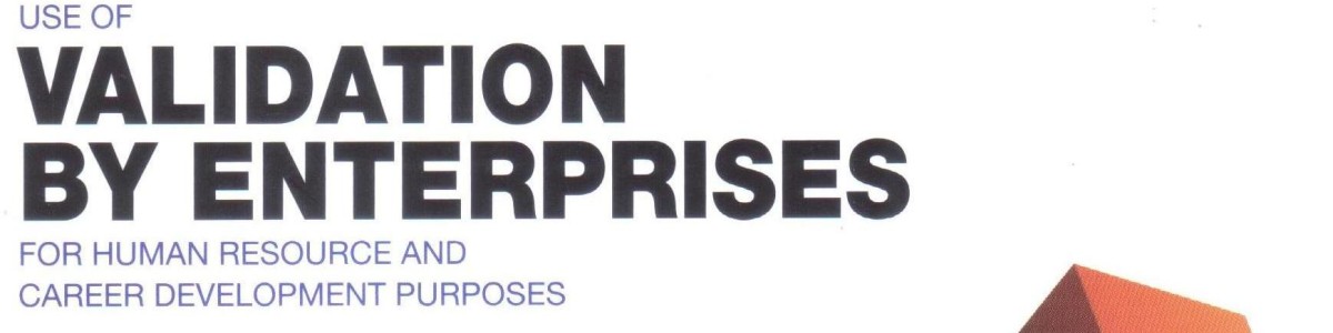 Use of validation by enterprises for human resource and career development purposes
