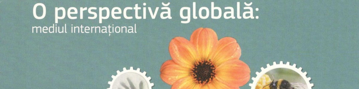 Mediul pentru europeni – O perspectivă globală: mediul internațional