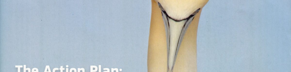 Natura 2000 – The action plan for nature, people and the economy
