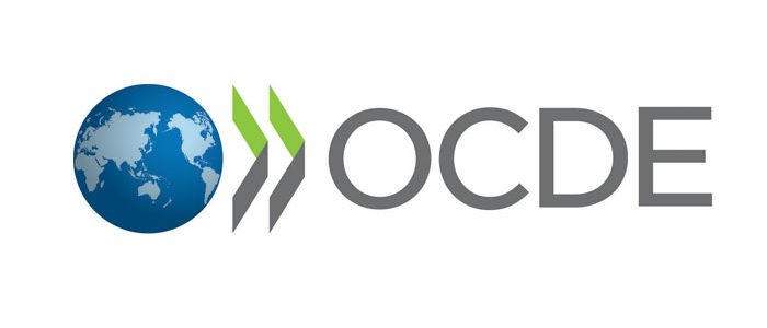Programul tineri profesioniști al OECD 2019