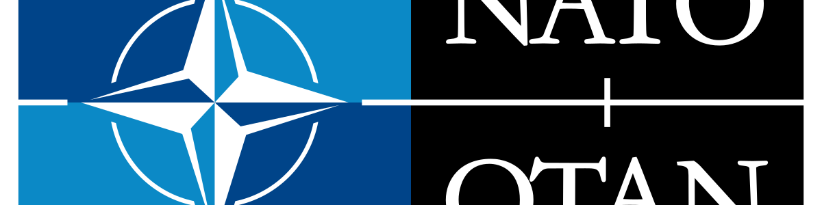 Programul de stagii de practică la NATO