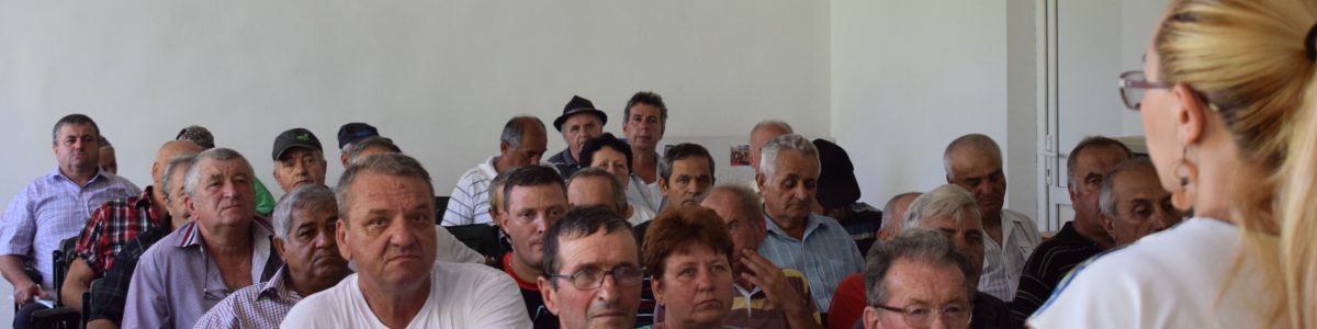 Despre viitorul Europei la Vlădești