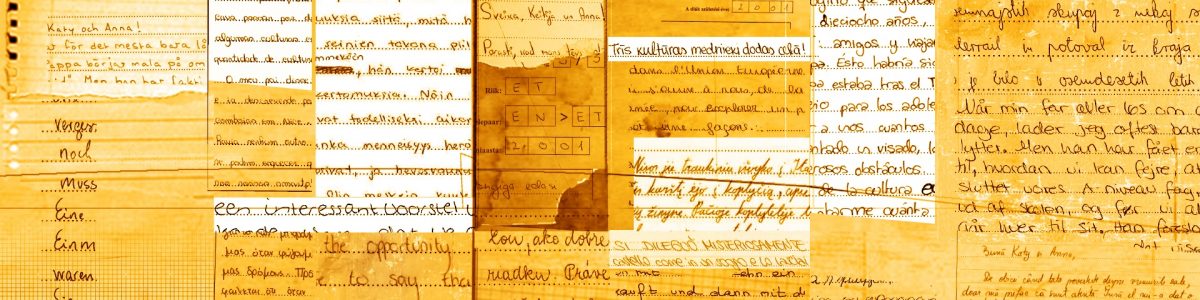 Juvenes Translatores – concurs european câștigat în România de către un elev argeșean!