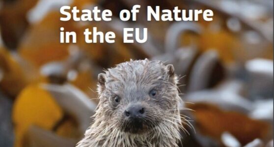 Natura 2000 – Starea naturii în UE
