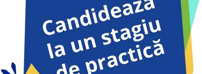 Stagii la Banca Centrală Europeană