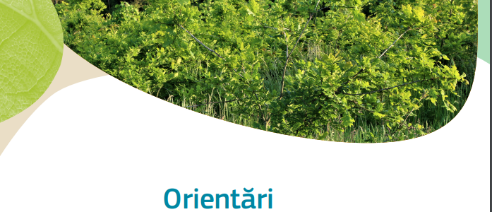Orientări privind practicile de împădurire, reîmpădurire și plantare de arbori favorabile biodiversității