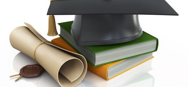 Burse IED pentru studii universitare de licență